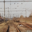 Chr�st od �pln�ho zni�en� zachr�nila Radnick� lok�lka