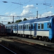 Sysel a pras�tko Chr�st u Plzn�