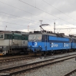 Brejlovec a Esa s n�kladem
