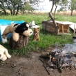 pohodi�ka na historicky prvn� stanova�ce